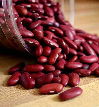 Red Rajma